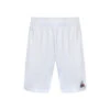 Le Coq Sportif Replica 22 N°2 Shorts Men -Tennis-Point Sales 00093000 000