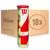 Wilson Team W Practice 18x 4 Ball Tube In A Box -Tennis-Point Sales 0157800000 000