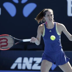 Wilson Natural Gut String Set 12,2m -Tennis-Point Sales 02009000 62