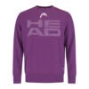 Head Rally Sweatshirt Men -Tennis-Point Sales 08100000 000